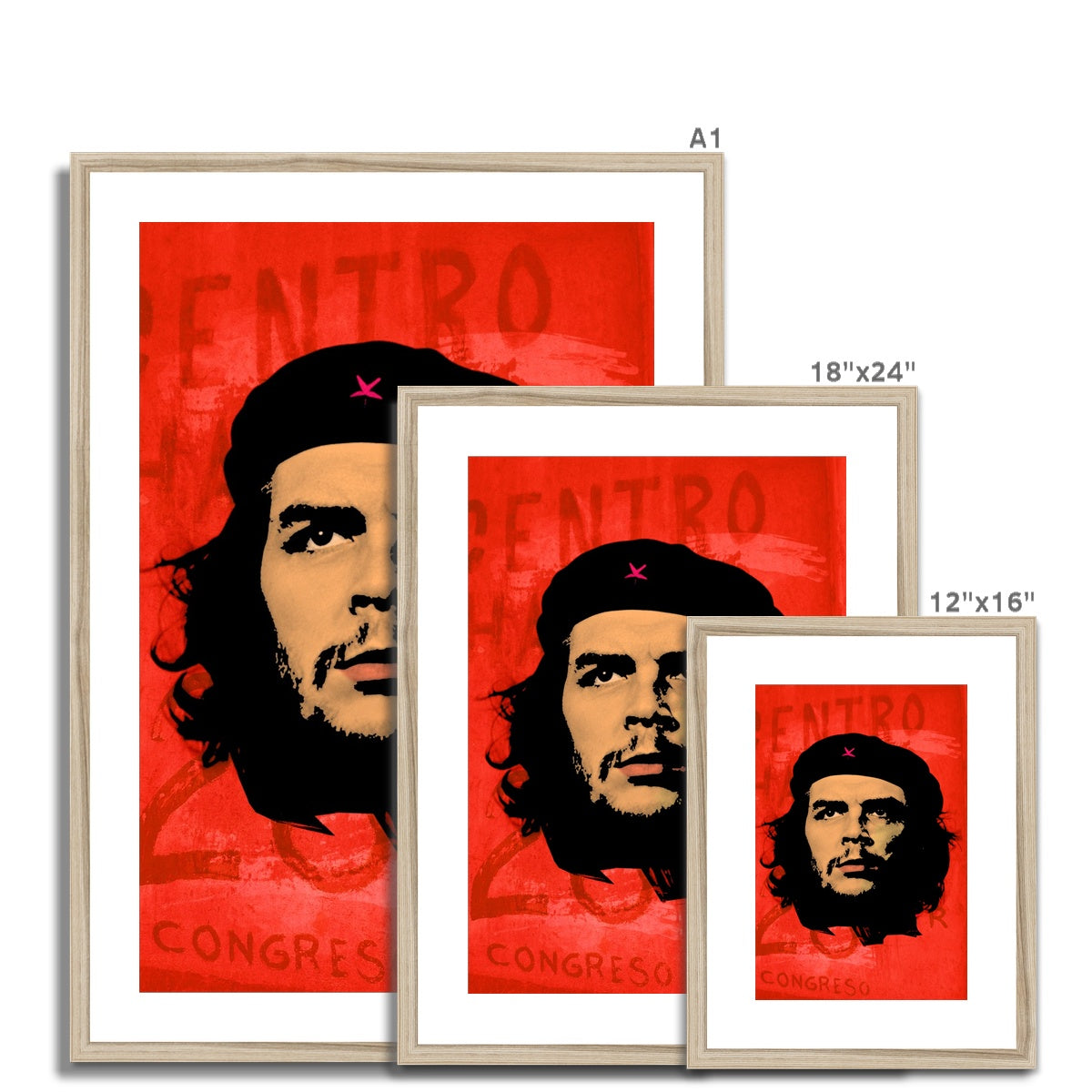 Che Red Framed & Mounted Print
