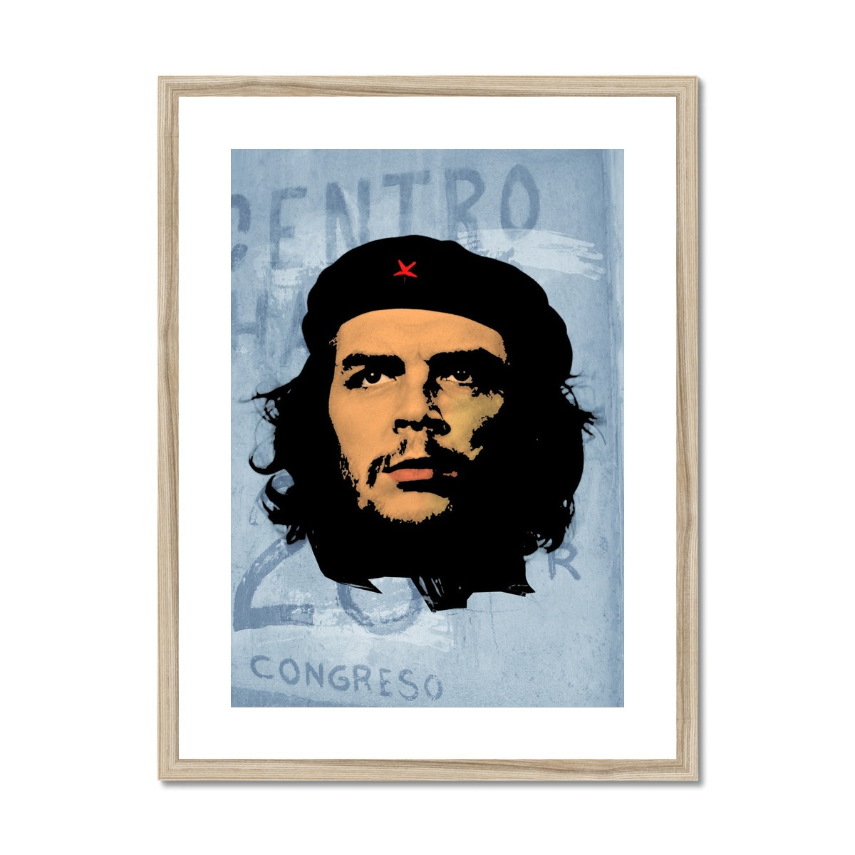 Che Grey Framed & Mounted Print