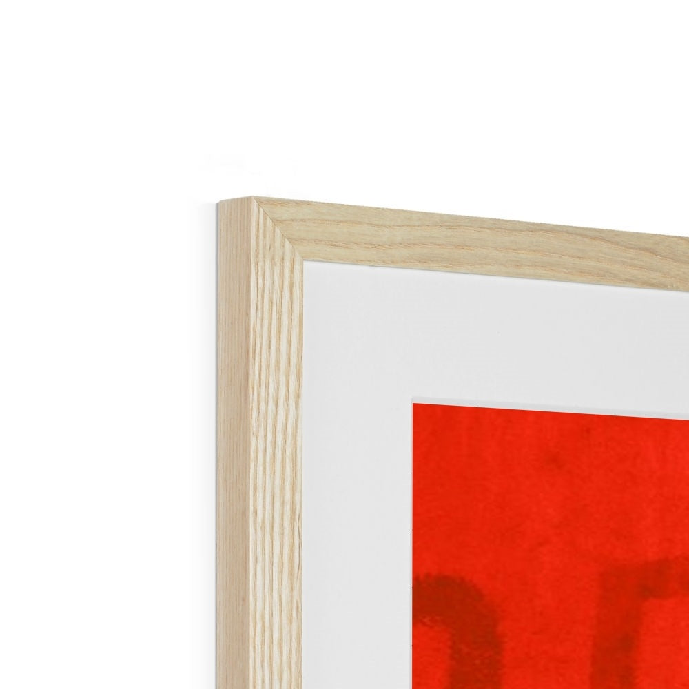 Che Red Framed & Mounted Print