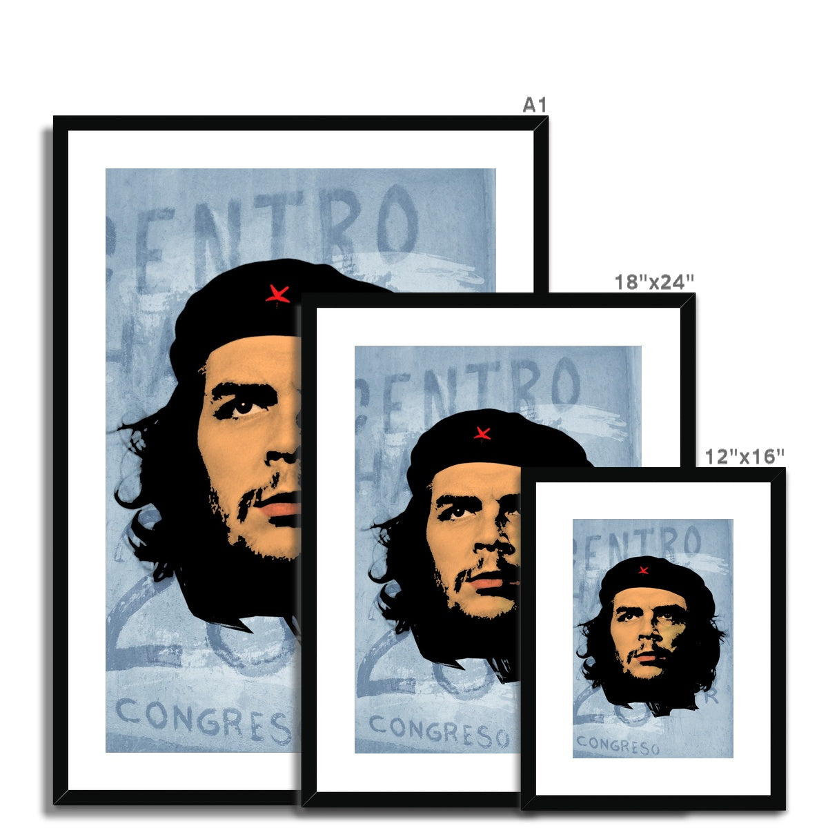 Che Grey Framed & Mounted Print