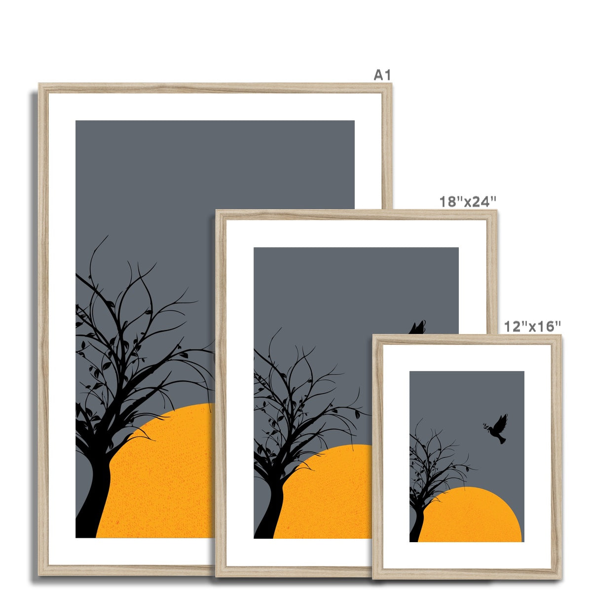 Black Dove Framed & Mounted Print