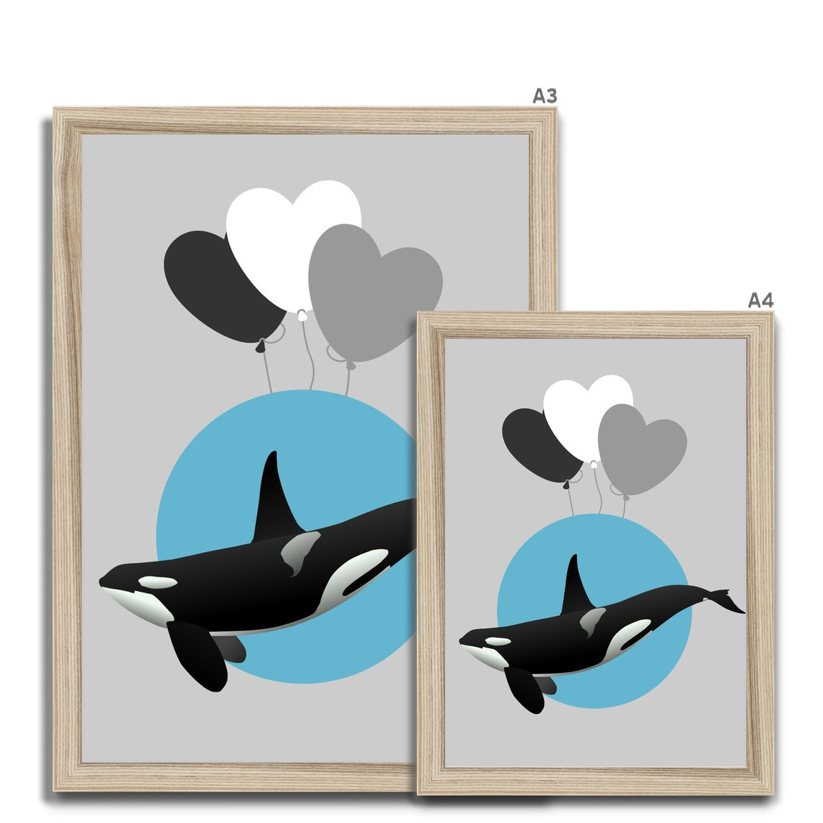 Orca Framed Print