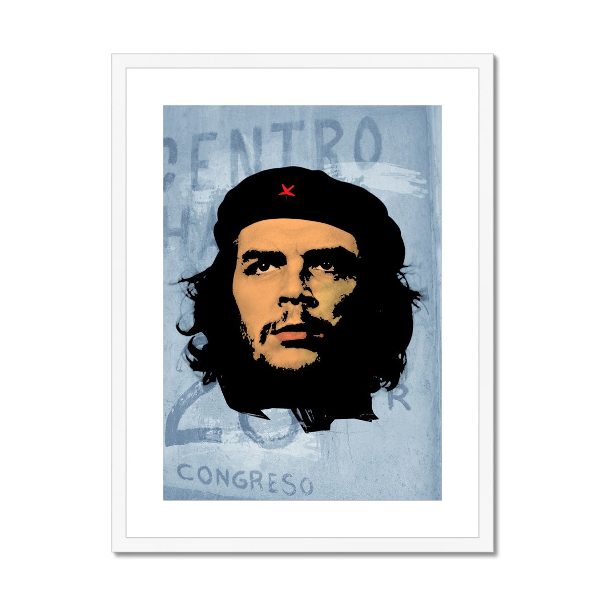 Che Grey Framed & Mounted Print