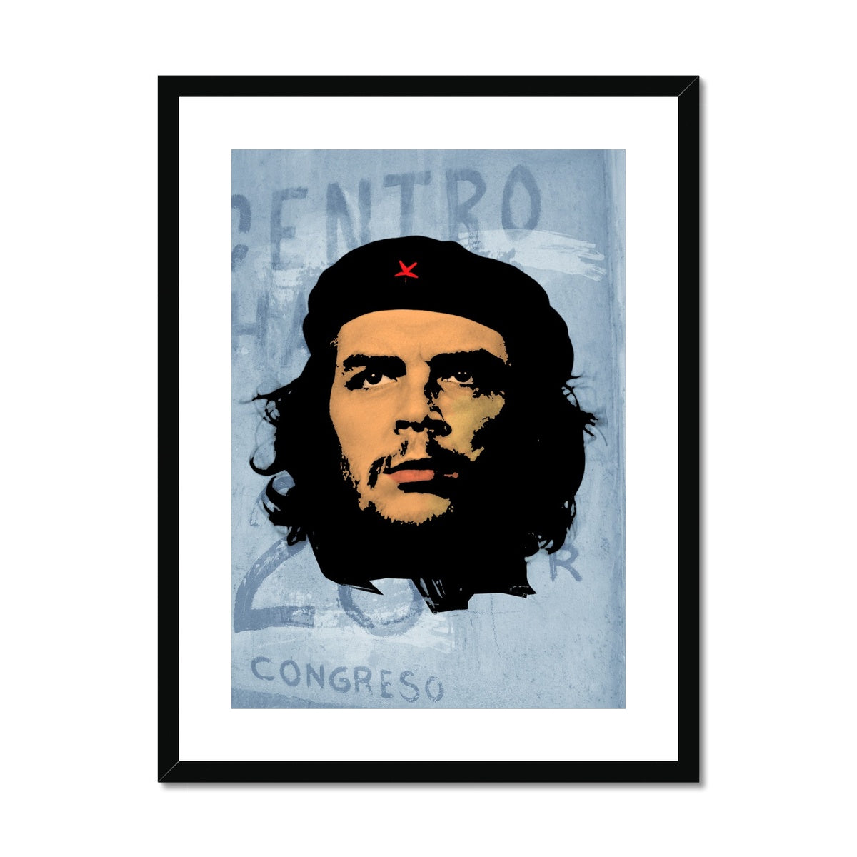 Che Grey Framed & Mounted Print
